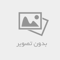 اللهم عجل لولیک الفرج بحق زینب کبری سلام الله علیها